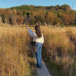 【효고】도노미네 고원