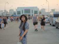 ชมนกนางนวล บางปู