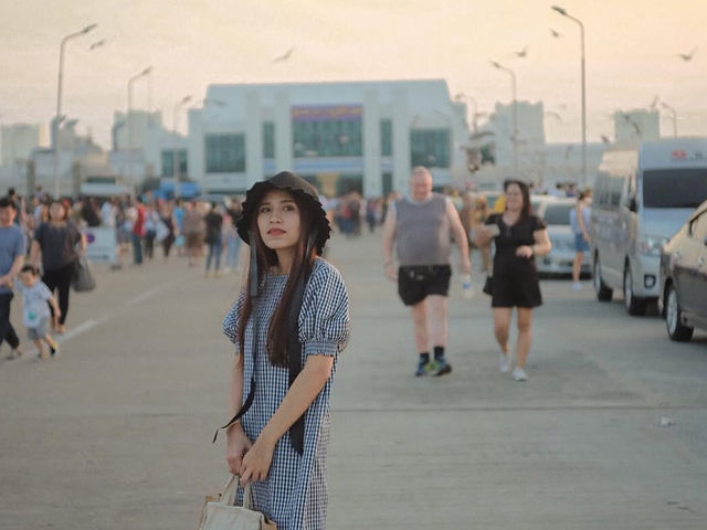 ชมนกนางนวล บางปู