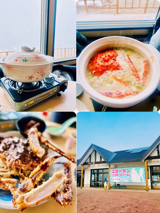 【北海道】屈斜路湖午餐：在日本最大的破火山口湖欣賞天鵝美態，品嘗鮮甜鱈場蟹