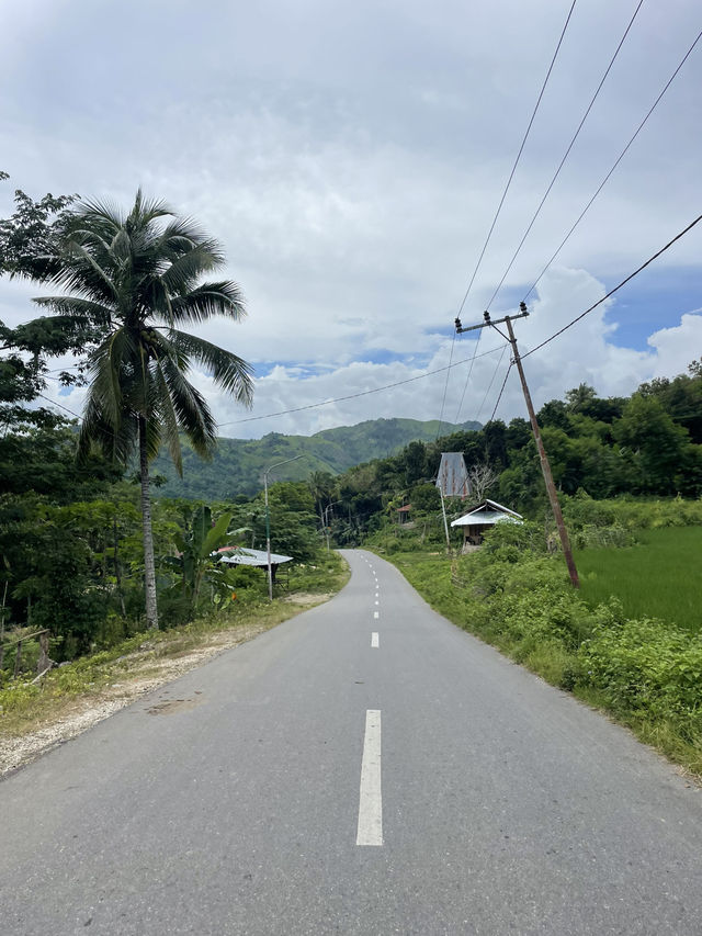 Why Driving Around Waikabubak is an Unforgettable Experience 🚗🌿