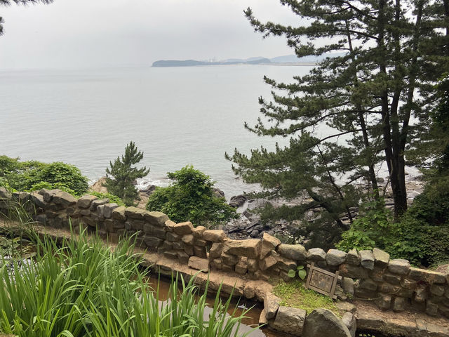 충청남도 죽도 상화원, 숨겨진 섬 속 힐링 여행 