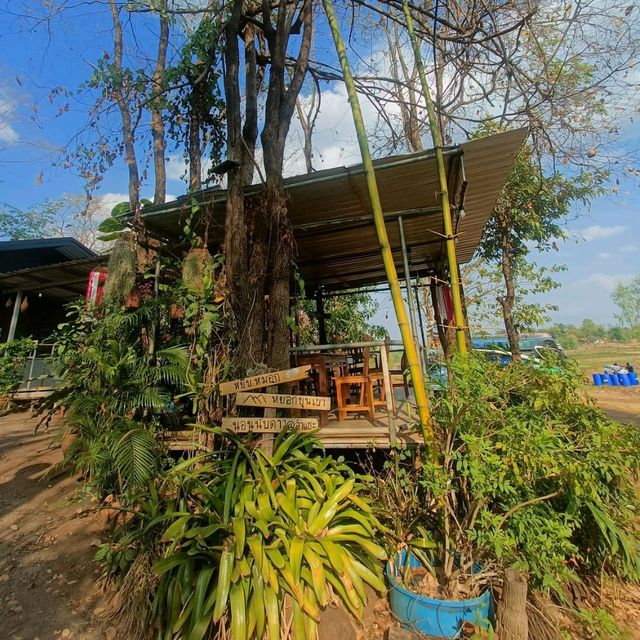 ครัวแพน้องกานต์ เขื่อนลำแชะ ครบุรี