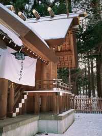 北海道札幌的冬日神社｜北海道神宮 ❄️⛩️