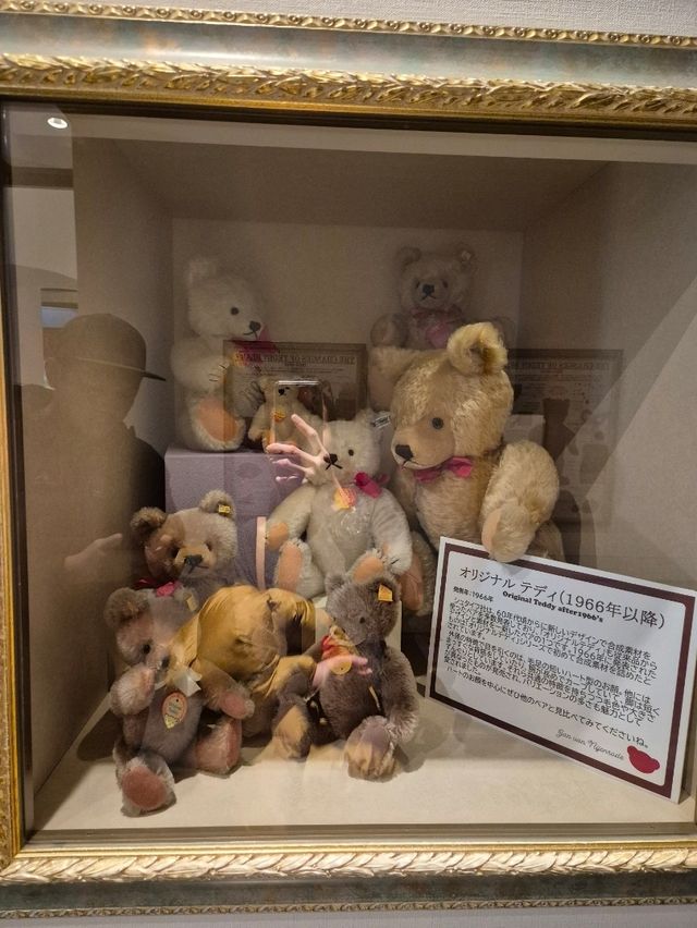 Teddy Bear Kingdom 🐻🧸