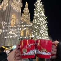 🇦🇹オーストリア・ウィーンのクリスマス🎅