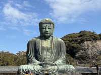 みんな生涯に一回は行く‼️ 【鎌倉大仏高徳院】