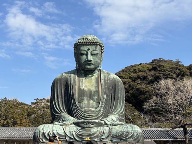 みんな生涯に一回は行く‼️ 【鎌倉大仏高徳院】