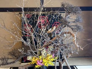 The gorgeous world of beauty by Shogo Karayazaki