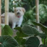 คาเฟ่นครศรีธรรมราช Feel good