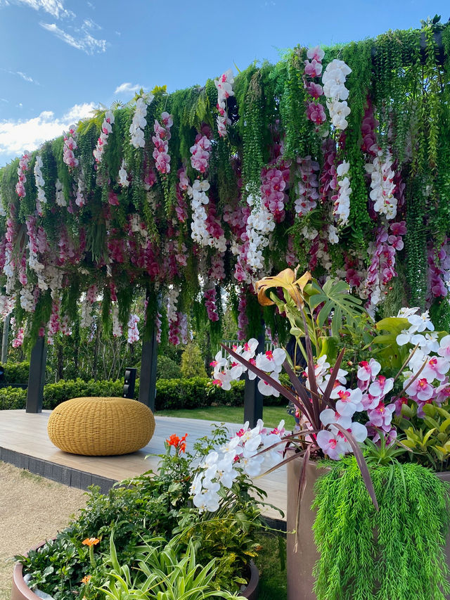 西沙Go Park ,香港最新好去處 ⛲️