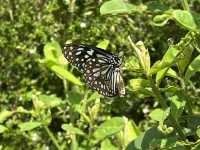 Lessons of Ecology at the Lions Nature Education Centre