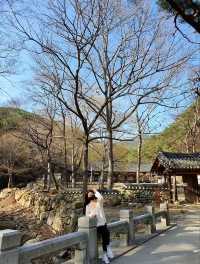 고즈넉한 산사, 구례 천은사 🏯🌿