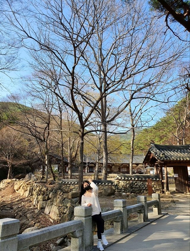 고즈넉한 산사, 구례 천은사 🏯🌿