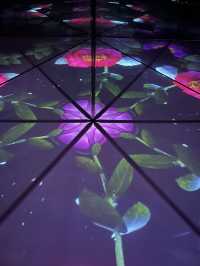 Fun visual Arte museum 