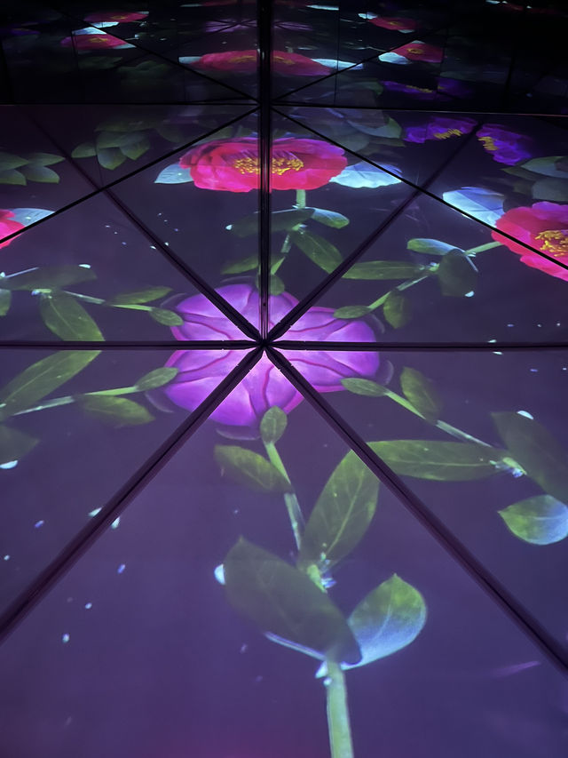 Fun visual Arte museum 