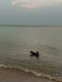 หาดสามร้อยยอด | ประจวบตีรีขันธ์