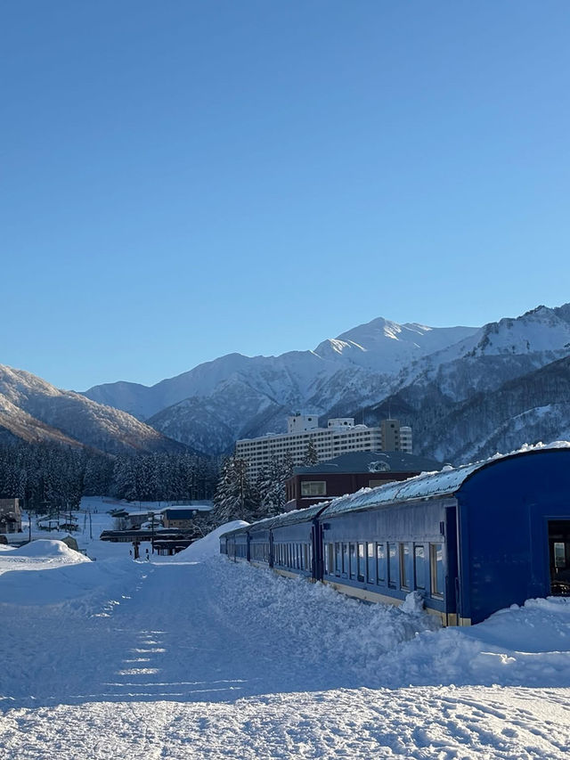 越後湯澤玩雪趣