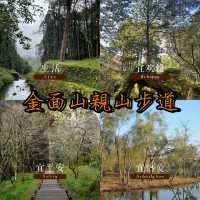 金面山親山步道～迷人綠野