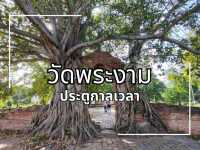 พามาผ่านประตูกาลเวลา ย้อนเข้าไปสู่โลกอดีต