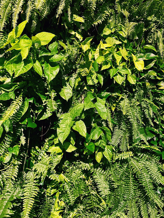 A Lush Green Escape at Menara DBKL 3