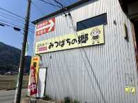 岐阜🇯🇵みつばちの郷🐝