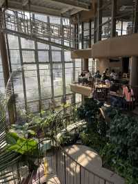 【東京】渋谷にある日本一小さな植物園🪴