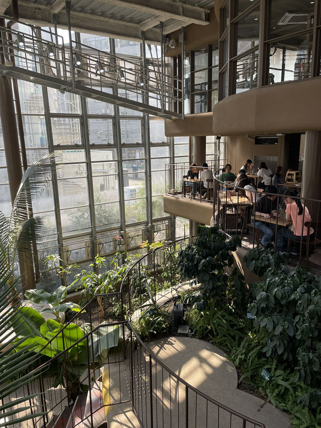 【東京】渋谷にある日本一小さな植物園🪴
