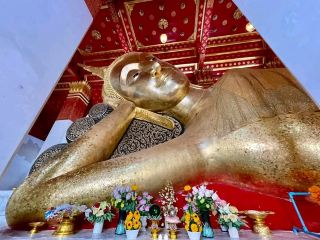 วัดป่าโมกวรวิหาร จังหวัดอ่างทอง