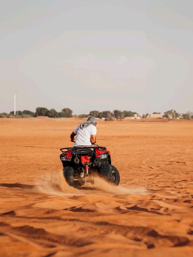 Desert Safari in Dubai!