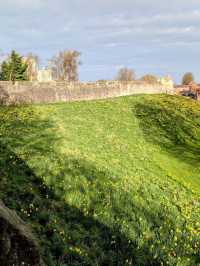 York City Walls