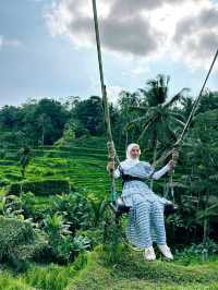 Truth about Tegallagang Rice Terrace 🌾🤫