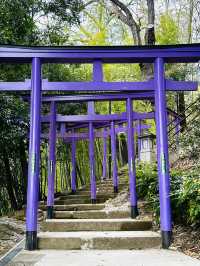 七色鳥居のある足利織姫神社