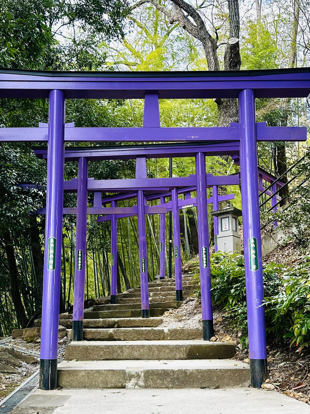 七色鳥居のある足利織姫神社