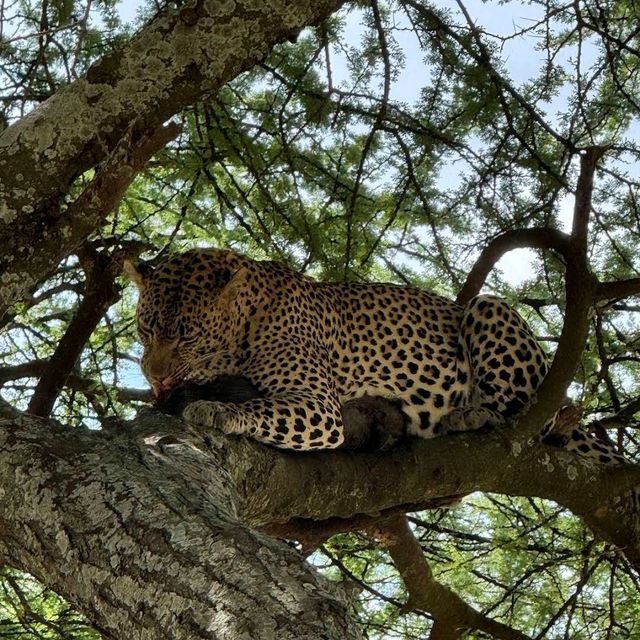 Serengeti National Park, Tanzania – Witness the Great Migration Responsibly