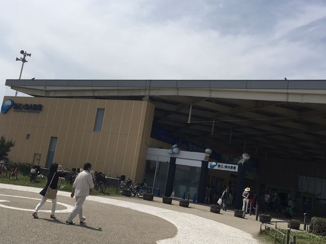 【神奈川県】 江ノ島巡り🚶‍♀️