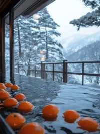 青森の雪景色に圧倒された。7日間6泊の余韻がすごすぎる！