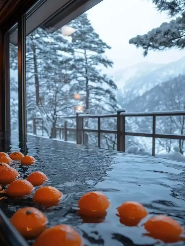青森の雪景色に圧倒された。7日間6泊の余韻がすごすぎる！
