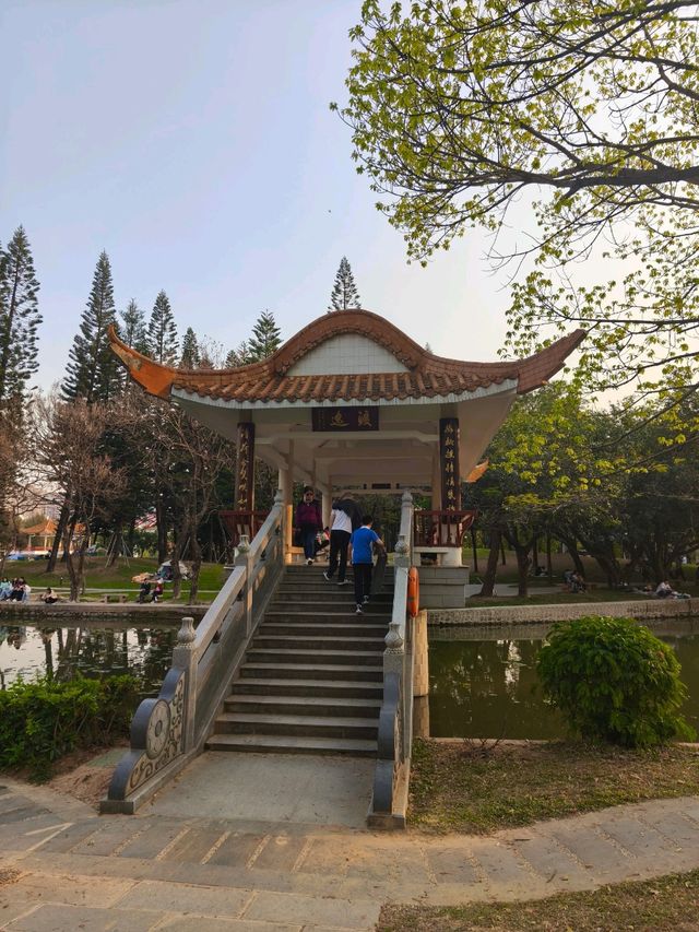 深圳其中一個最漂亮的大型荷花公園