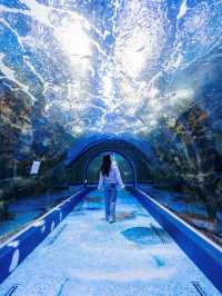 신비스러운 물속 데이트코스..🐠🐟💕