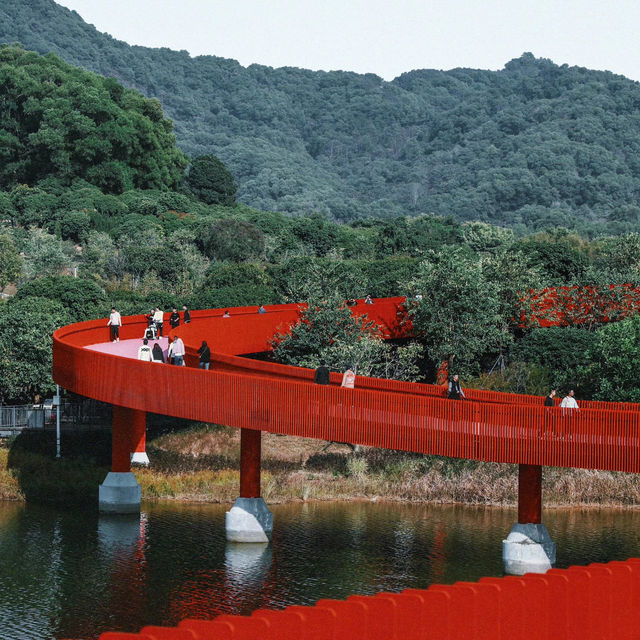 🔥【深圳新晉打卡】光明虹橋公園實測報告📸