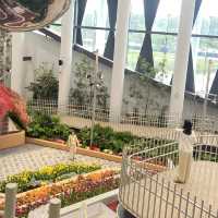 1 Day Trip ระยอง ดูสวนดอกไม้