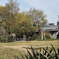 天王寺動物園（Tennoji Zoo） 