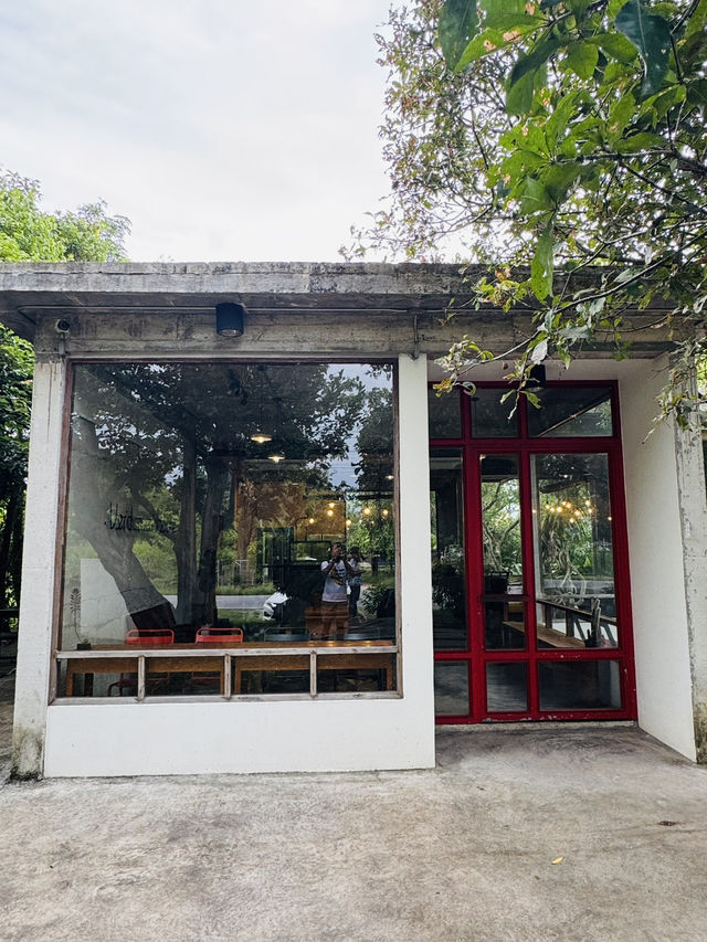  Verdurous House – คาเฟ่เขียวๆ ใจกลางพัทลุง