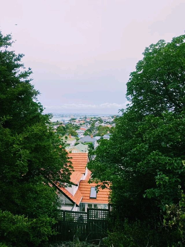 新西蘭著名旅遊城市奧克蘭旅行攻略，適合打卡拍照📸
