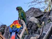 【伊豆】伊豆シャボテン動物公園で動物とサボテンと触れ合う