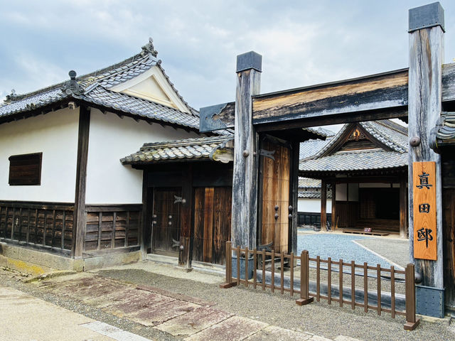 長野県松代の桜