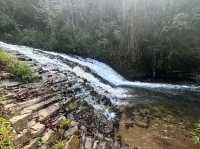 Gaoligong Mountain: Where Beauty and Biodiversity Meet