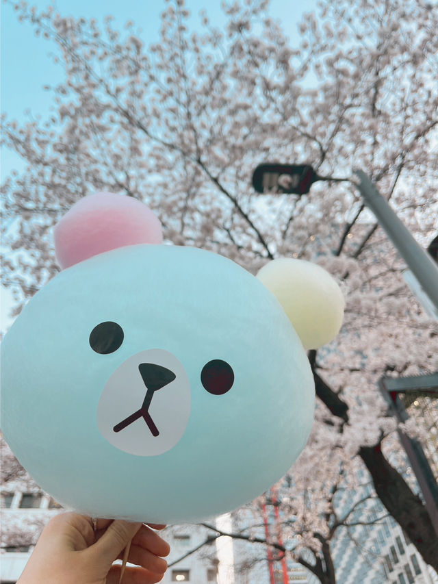 봄에 산책하기 딱 좋은 여의도 한강공원~벚꽃길 🌸