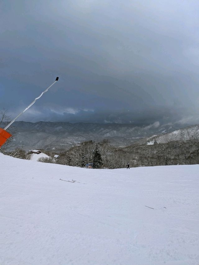 Tsugaike: Powder Playground in the Japanese Alps